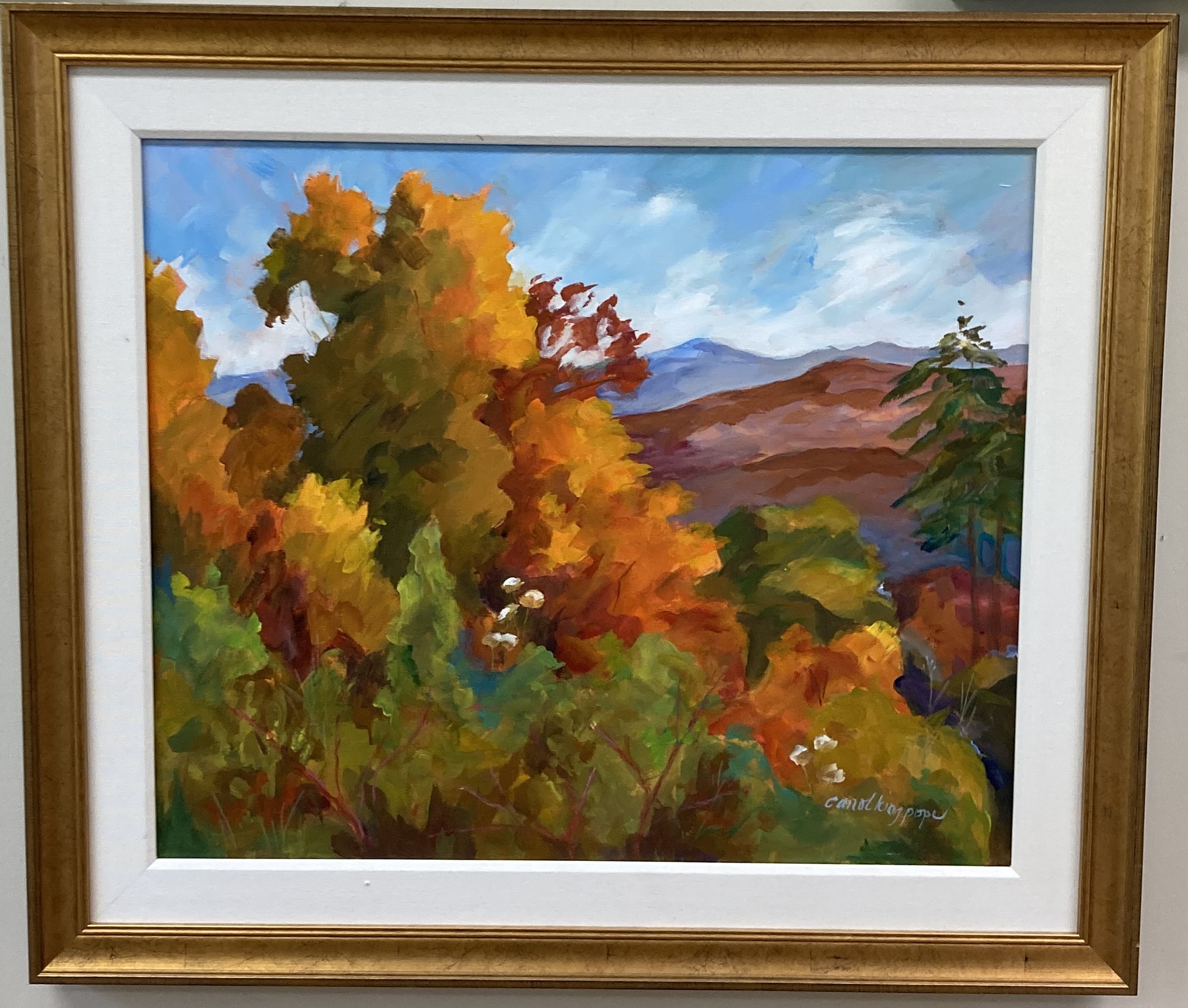 Distant Mountain Range